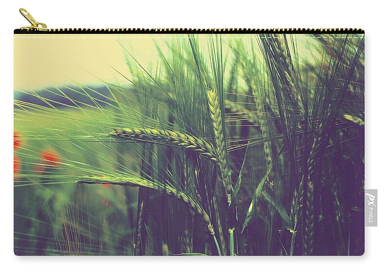Wheat Zip Pouch featuring the photograph Wheat by Jackie Russo