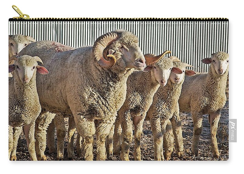 Sheep Carry-all Pouch featuring the mixed media When I Am Older by Amanda Smith