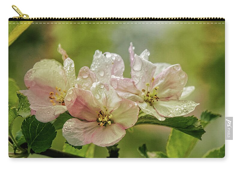 Appleblossoms Zip Pouch featuring the photograph When The Light Breaks Through by Sue Capuano