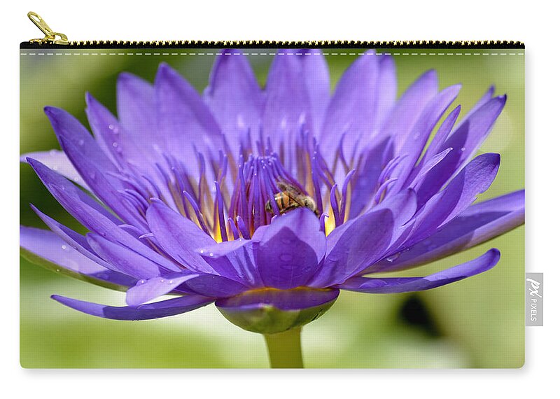 Water Lily Zip Pouch featuring the photograph When The Lily Blooms by Melanie Moraga