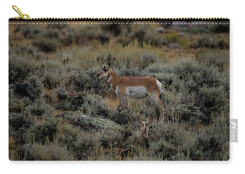Antelope Zip Pouch featuring the photograph Where the Antelope Play by Laddie Halupa