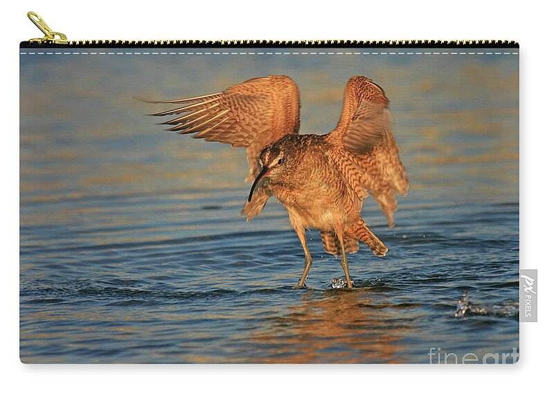 Whimbrel Zip Pouch featuring the photograph Whimbrel Colors by John F Tsumas