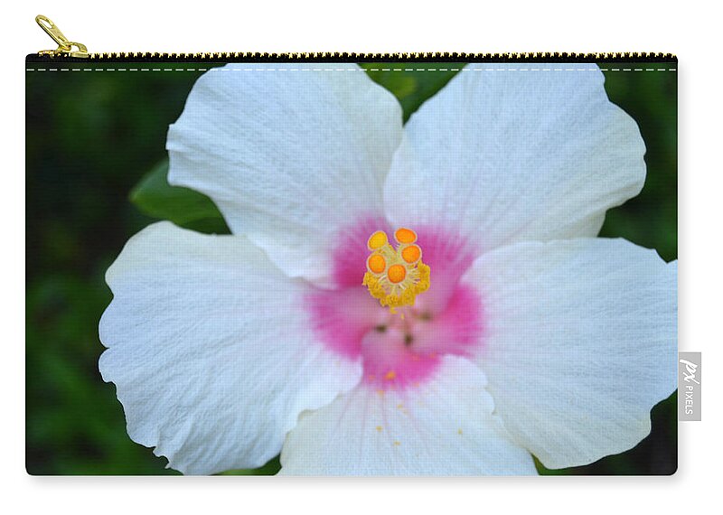 Flower Carry-all Pouch featuring the photograph White and Pink Hibiscus by Amy Fose