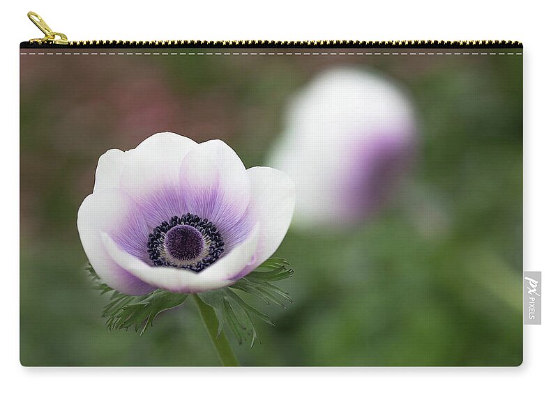 Purple Zip Pouch featuring the photograph White and Purple by Rebecca Cozart