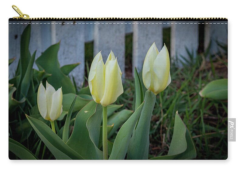 Yellow Zip Pouch featuring the photograph White and Yellow Tulips by K Bradley Washburn