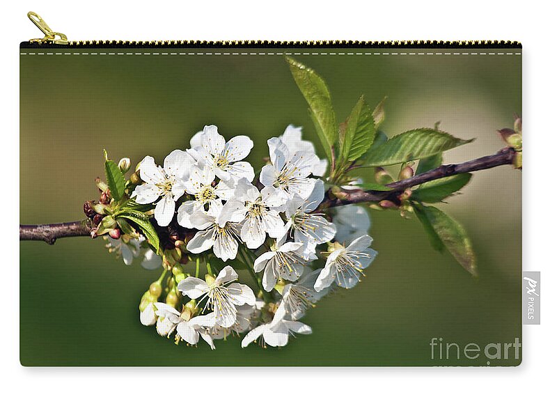 White Apple Blossoms Zip Pouch featuring the photograph White Apple Blossoms by Silva Wischeropp