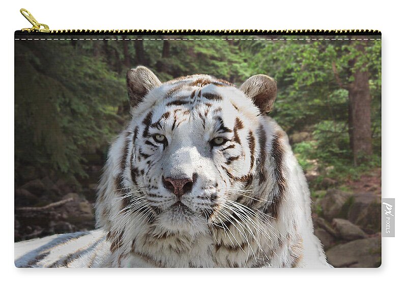 White Zip Pouch featuring the photograph White Bengal Tiger Two by Michele A Loftus
