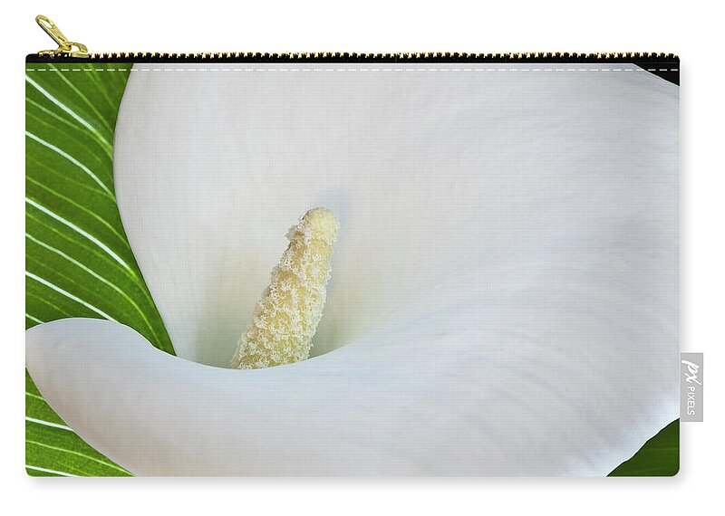 Calla Carry-all Pouch featuring the photograph White Calla by Heiko Koehrer-Wagner