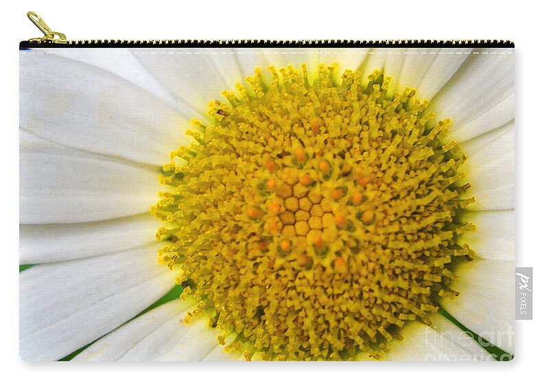 Daisy Zip Pouch featuring the photograph White Daisy Close Up by Amy Lucid