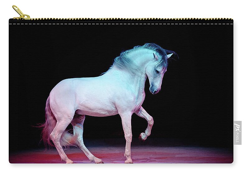 Russian Artists New Wave Zip Pouch featuring the photograph White Dancer by Ekaterina Druz