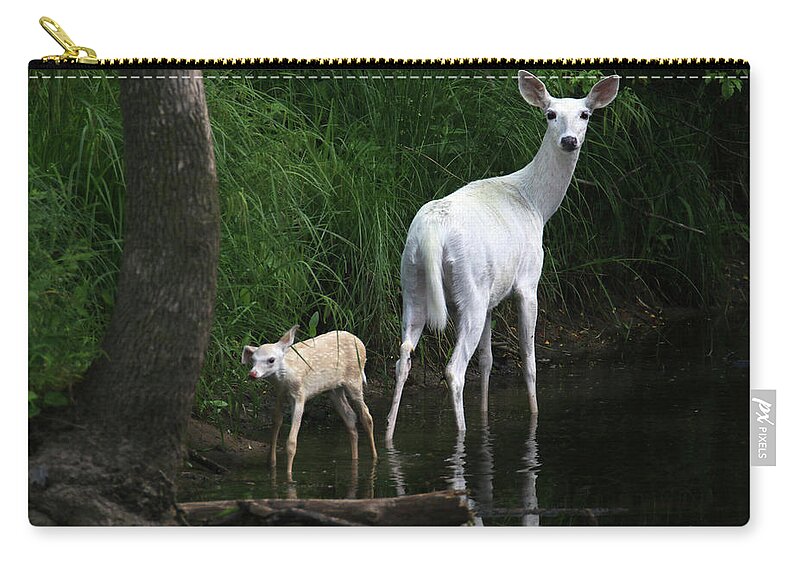 Deer Zip Pouch featuring the photograph White Doe and Fawn wading in Creek 4 by Brook Burling