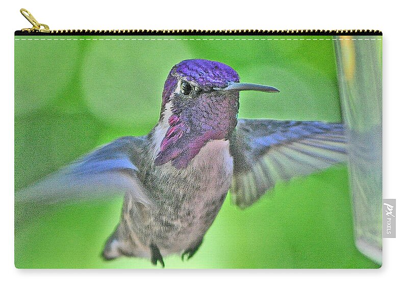Bird Zip Pouch featuring the photograph White Eared Hummingbird In Flight To Feeder by Jay Milo