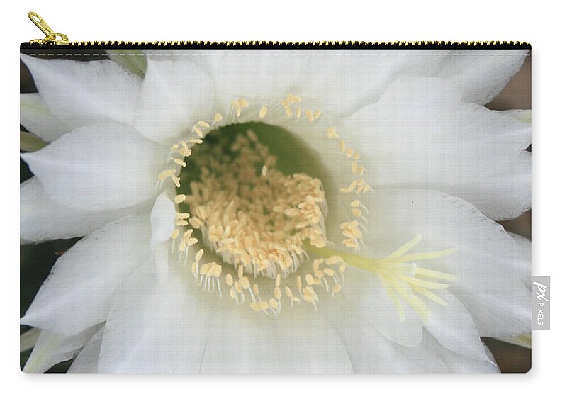 Cactus Zip Pouch featuring the photograph White Easter Lily Cactus by Marna Edwards Flavell