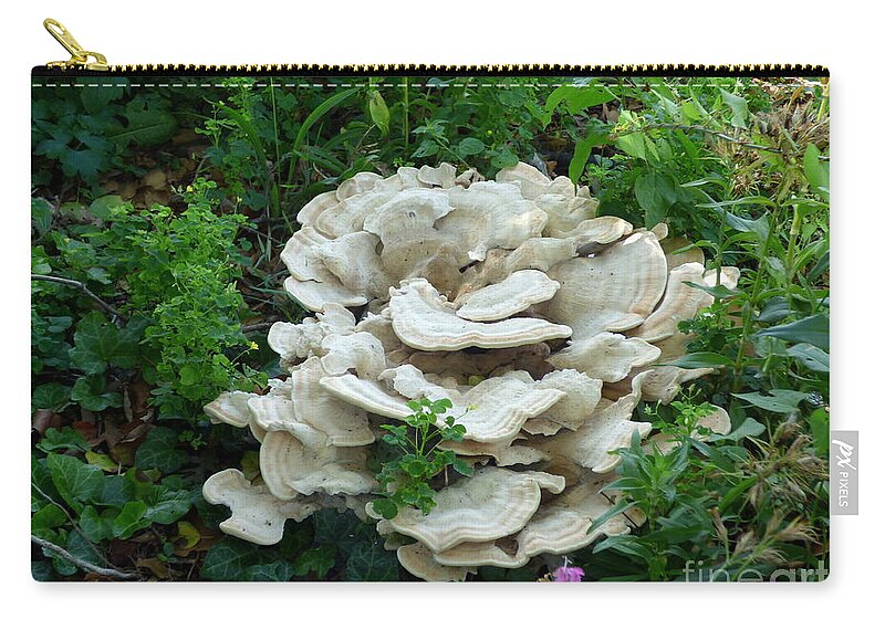 Fungus Zip Pouch featuring the photograph White Fungus by Charles Robinson