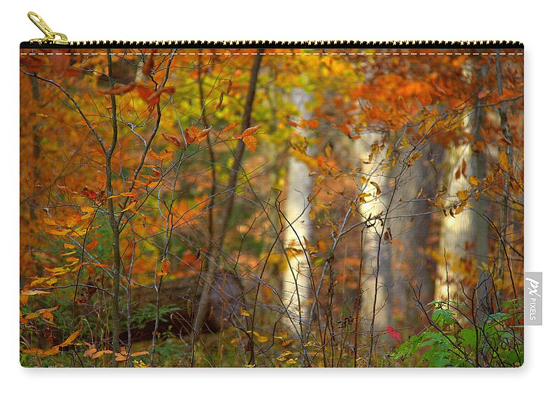 White Light Zip Pouch featuring the photograph White Light by Edward Smith
