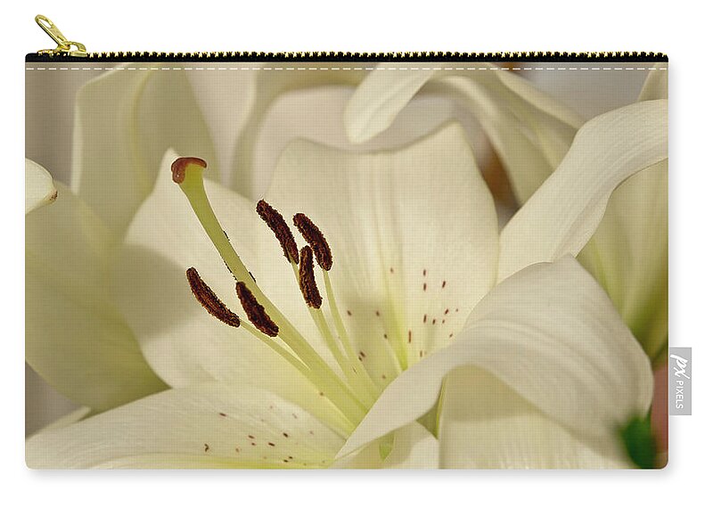 Lily Carry-all Pouch featuring the photograph White Lily 3 by Elena Perelman