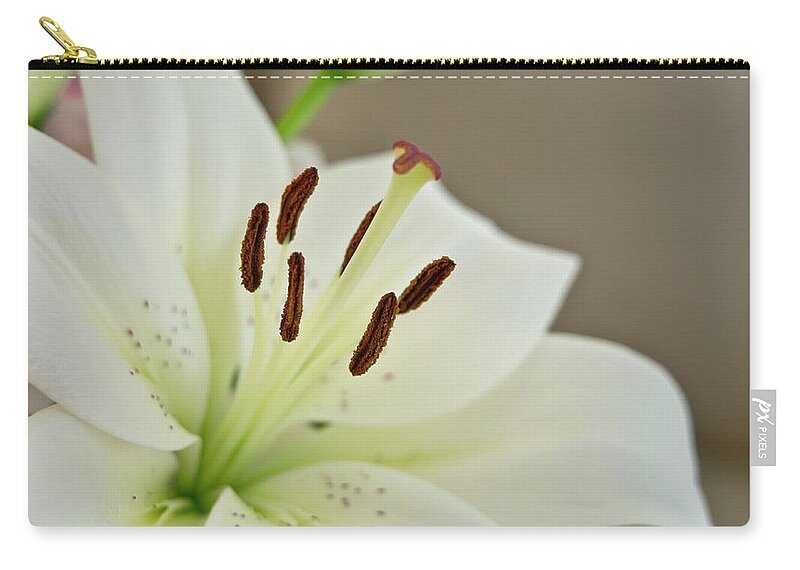 Trinity Carry-all Pouch featuring the photograph White Lily 4 by Elena Perelman