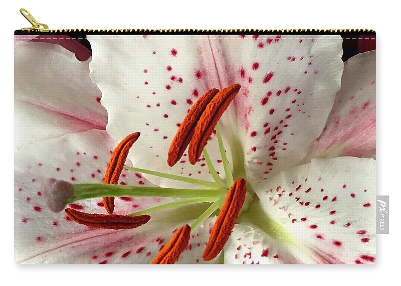White Zip Pouch featuring the photograph White Lily by Steph Gabler