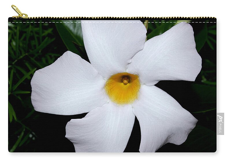 Nature Zip Pouch featuring the photograph White Mandevilla by Robert Morin