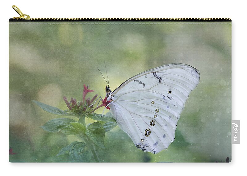 Butterfly Zip Pouch featuring the photograph White Morpho Butterfly by Kim Hojnacki