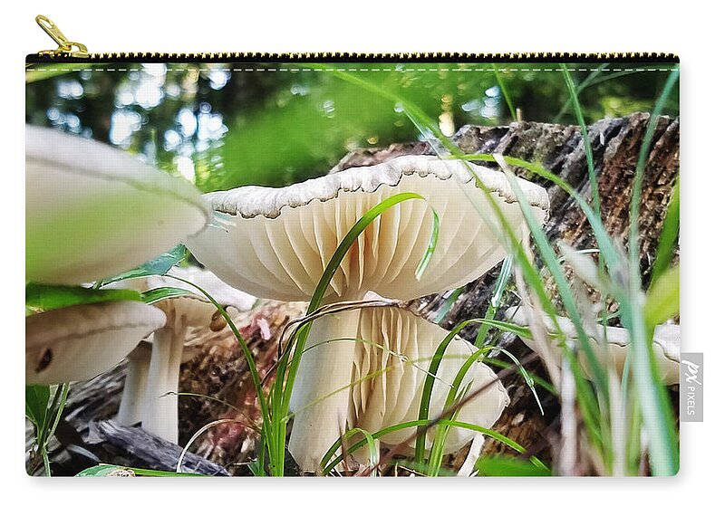 Mushroom Zip Pouch featuring the photograph White Mushrooms by Farol Tomson