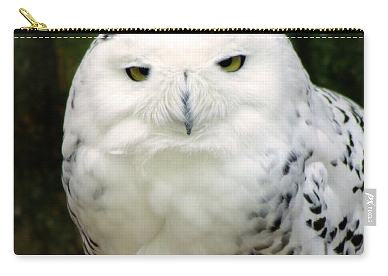 Owl Zip Pouch featuring the photograph White Owl by Rainer Kersten