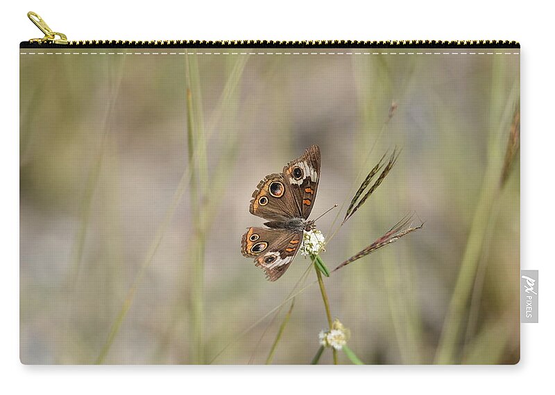 Butterfly Zip Pouch featuring the photograph Buckeye Butterfly Resting On White Flowers - Horizontal by Artful Imagery