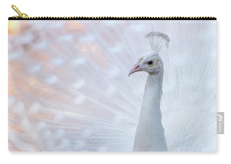 Peacock Zip Pouch featuring the photograph White Peacock by Sebastian Musial