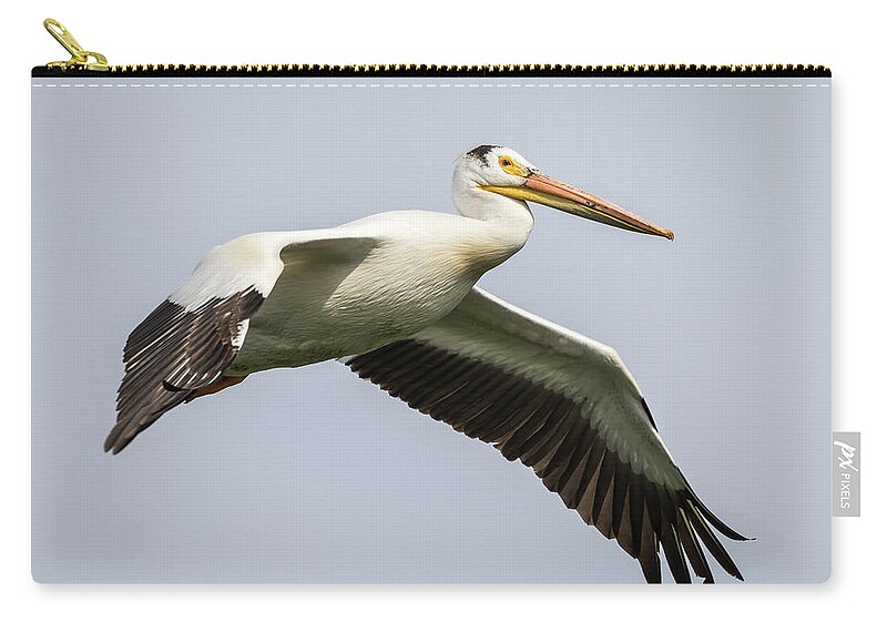 American White Pelican Carry-all Pouch featuring the photograph White Pelican 2016-1 by Thomas Young