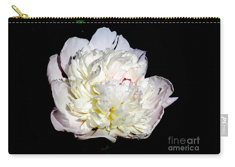 Photograph Zip Pouch featuring the photograph White Peony II by Delynn Addams