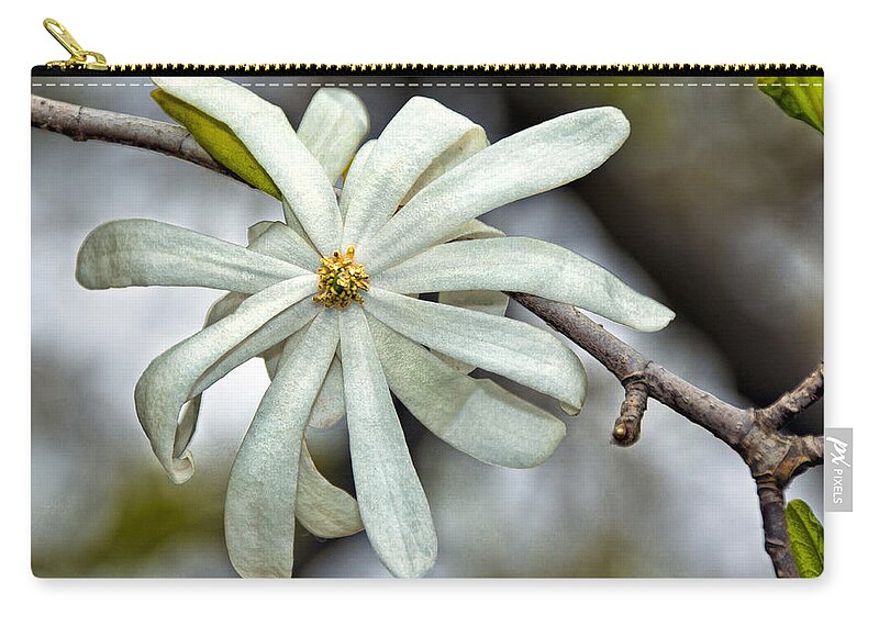 Blossom Zip Pouch featuring the photograph White Petals by Christopher Holmes