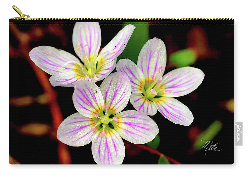 Macro Photography Zip Pouch featuring the photograph Virginia Spring Beauty Flower by Meta Gatschenberger