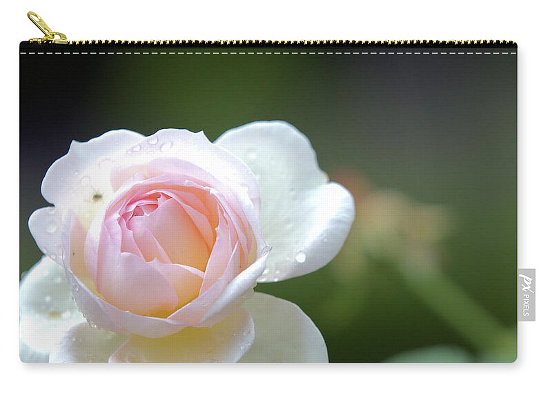 Rose Carry-all Pouch featuring the photograph White rose by Agnes Caruso