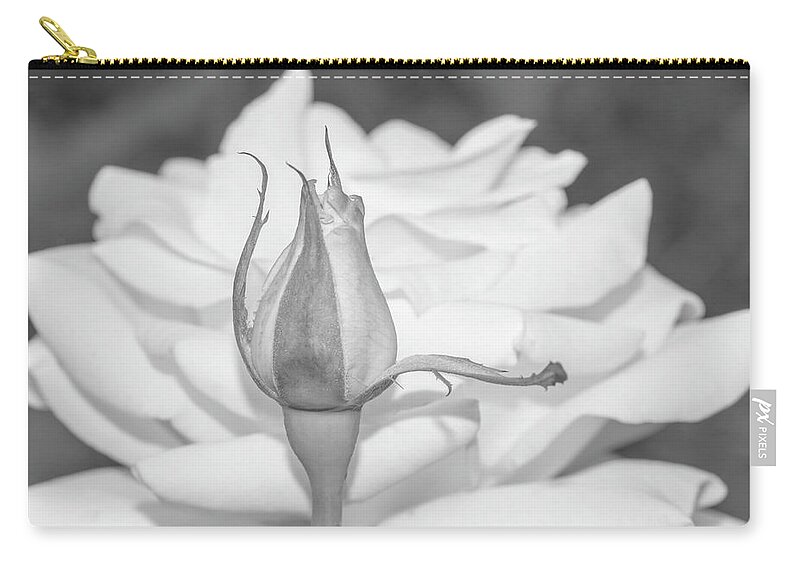 Rose Carry-all Pouch featuring the photograph White Rose Bud by Kathy Paynter