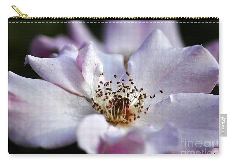 Clay Zip Pouch featuring the photograph White Rose by Clayton Bruster
