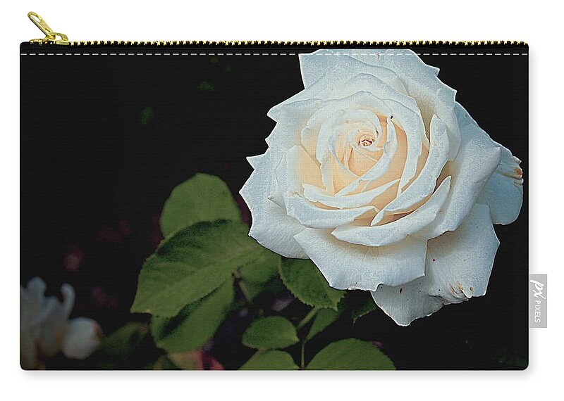 Rose Zip Pouch featuring the photograph White Rose by Mindy Newman