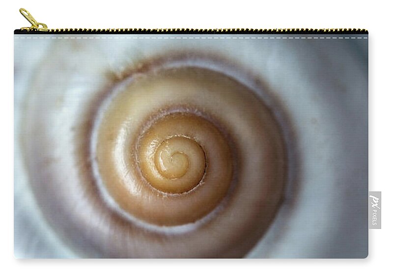 Shell Zip Pouch featuring the photograph White snail shell by Jaroslaw Blaminsky