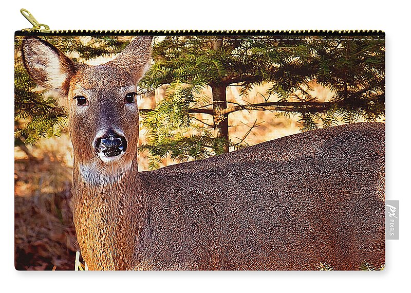 White Tail Michigan Deer Zip Pouch featuring the photograph White Tail Michigan Deer by Gwen Gibson