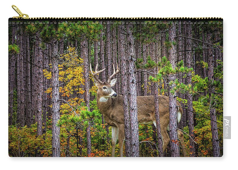 Whitetail Zip Pouch featuring the photograph White Tailed Buck among the Pines by Randall Nyhof