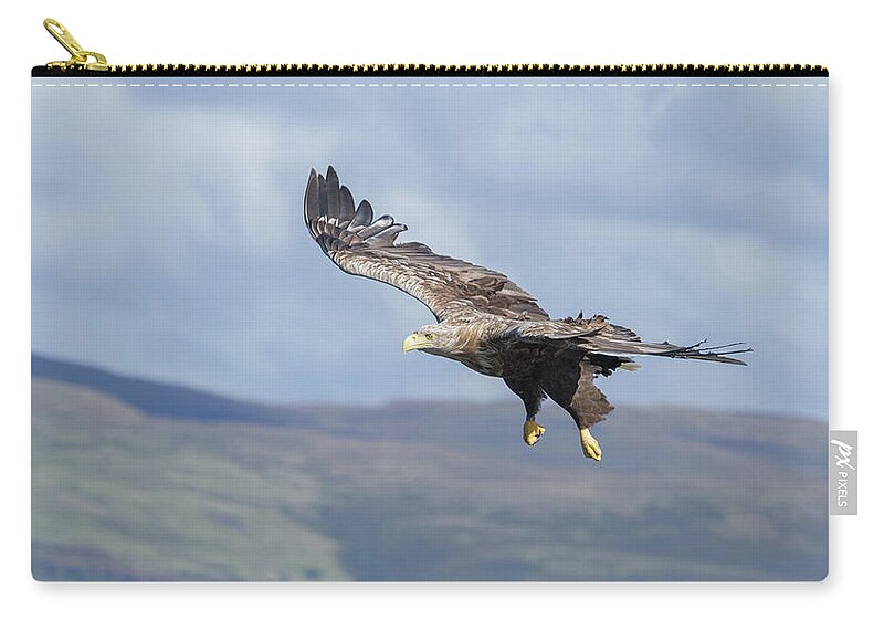 White-tailed Eagle Carry-all Pouch featuring the photograph White-Tailed Eagle On Mull by Pete Walkden