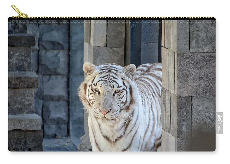 Wildlife Zip Pouch featuring the photograph White Tiger by Ingrid Dendievel
