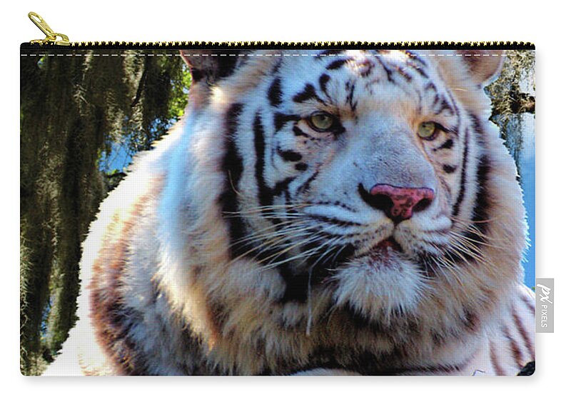 Photo Zip Pouch featuring the photograph White Tiger by Ken Frischkorn