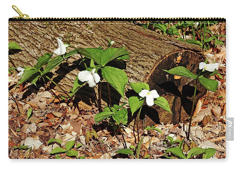 Trilliums Zip Pouch featuring the photograph White Trilliums by Debbie Oppermann