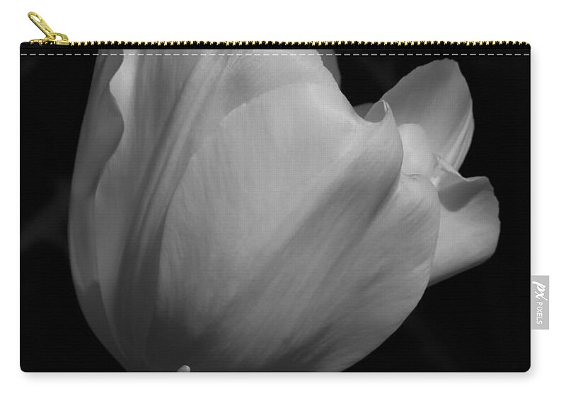 Black And White Tulip Zip Pouch featuring the photograph White Tulip by Anita Adams
