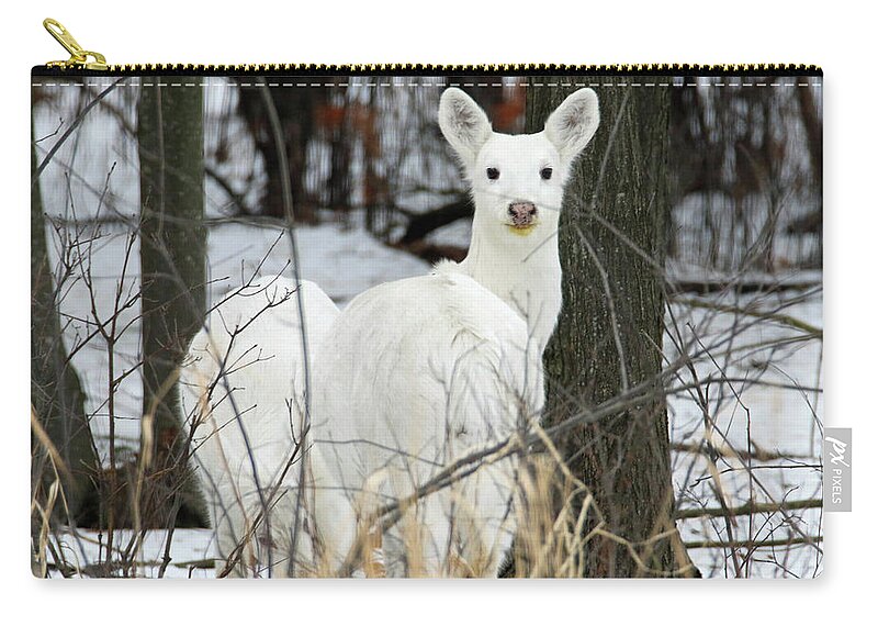 White Zip Pouch featuring the photograph White Visitor by Brook Burling