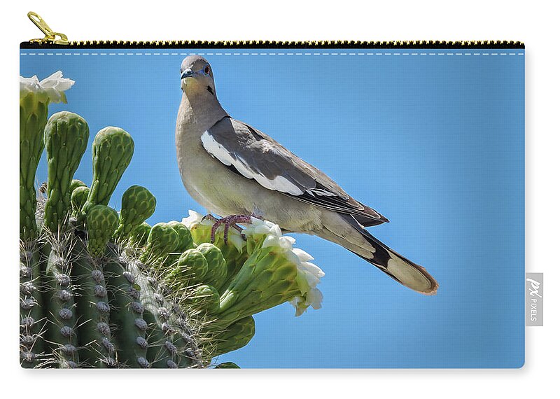 Pennysprints Zip Pouch featuring the photograph White Winged Dove on Cactus Flower by Penny Lisowski