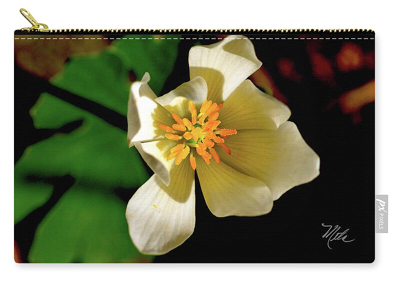 Macro Photography Zip Pouch featuring the photograph Bloodroot White Flower by Meta Gatschenberger