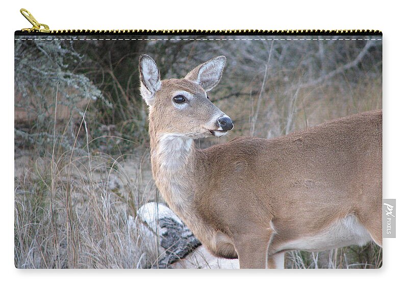 Deer Zip Pouch featuring the photograph Whitetail Deer by Creative Solutions RipdNTorn