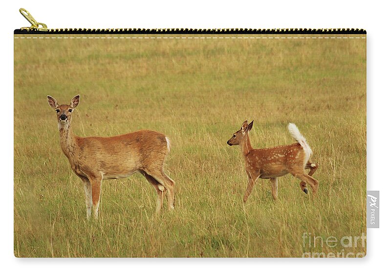 Doe Zip Pouch featuring the photograph Whitetail Doe and Fawn by Alyce Taylor