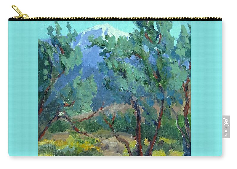 Landscape Carry-all Pouch featuring the painting Whitewater Preserve Palm Springs by Maria Hunt